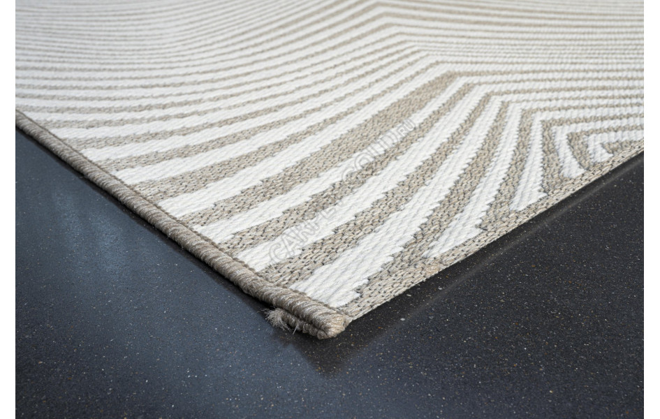 BRIGHTON NEW 98038 306296